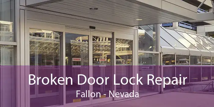 Broken Door Lock Repair Fallon - Nevada