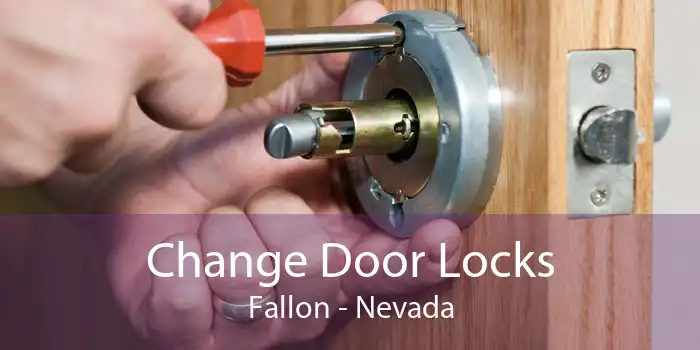 Change Door Locks Fallon - Nevada