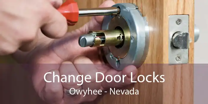 Change Door Locks Owyhee - Nevada