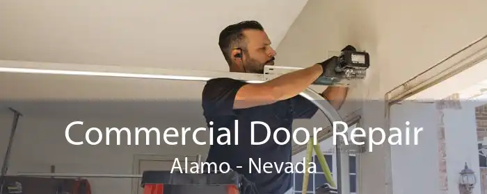 Commercial Door Repair Alamo - Nevada