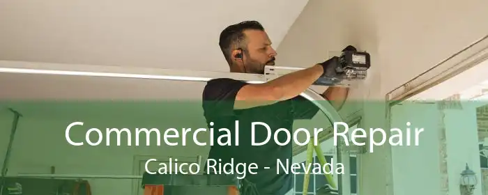Commercial Door Repair Calico Ridge - Nevada