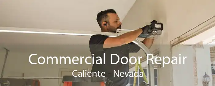 Commercial Door Repair Caliente - Nevada