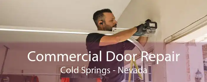 Commercial Door Repair Cold Springs - Nevada