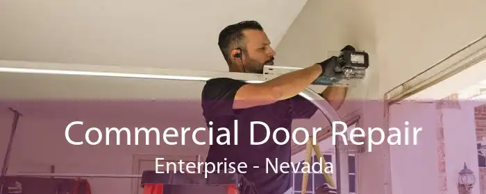 Commercial Door Repair Enterprise - Nevada