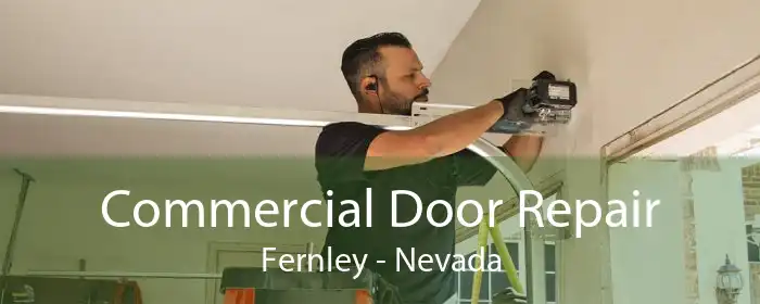 Commercial Door Repair Fernley - Nevada
