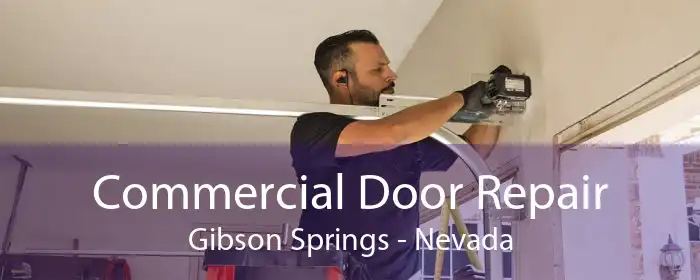 Commercial Door Repair Gibson Springs - Nevada