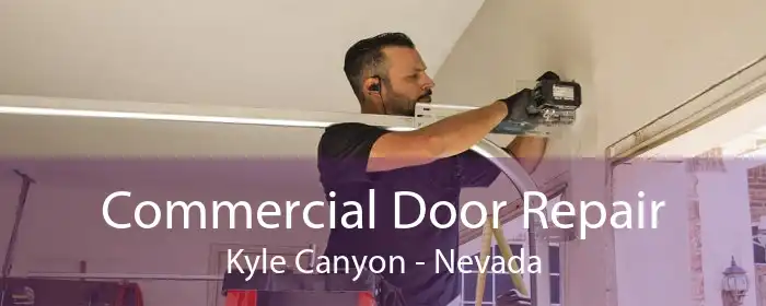 Commercial Door Repair Kyle Canyon - Nevada