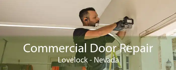 Commercial Door Repair Lovelock - Nevada