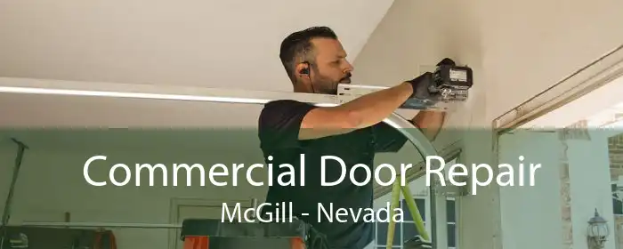 Commercial Door Repair McGill - Nevada