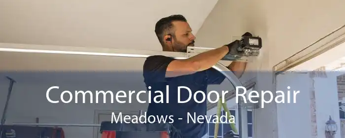 Commercial Door Repair Meadows - Nevada