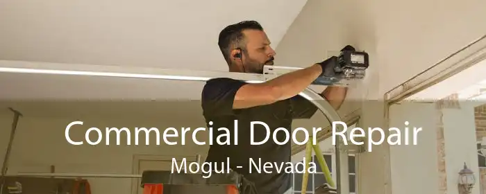 Commercial Door Repair Mogul - Nevada