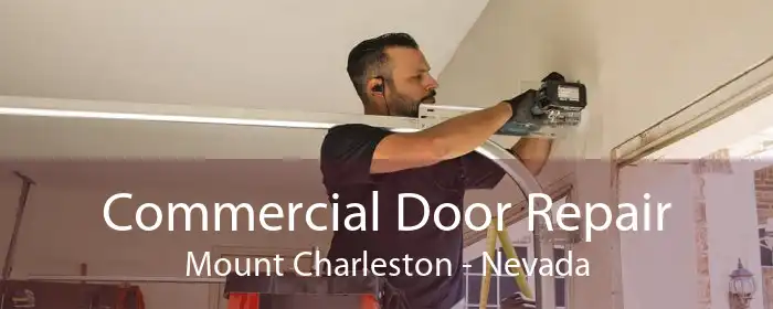 Commercial Door Repair Mount Charleston - Nevada