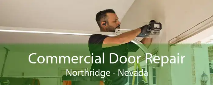 Commercial Door Repair Northridge - Nevada
