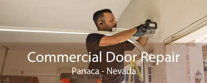 Commercial Door Repair Panaca - Nevada