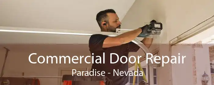 Commercial Door Repair Paradise - Nevada