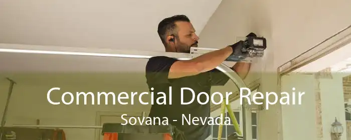 Commercial Door Repair Sovana - Nevada