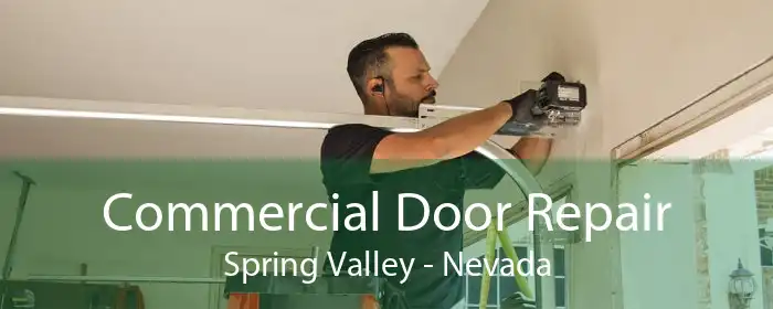 Commercial Door Repair Spring Valley - Nevada