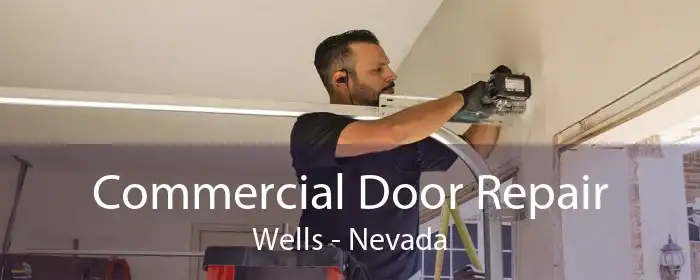 Commercial Door Repair Wells - Nevada