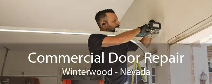 Commercial Door Repair Winterwood - Nevada