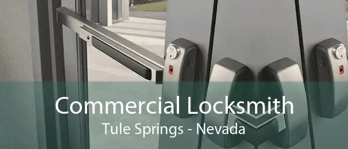 Commercial Locksmith Tule Springs - Nevada