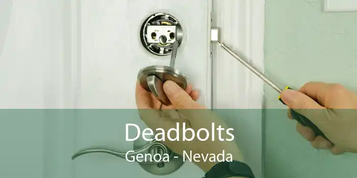 Deadbolts Genoa - Nevada