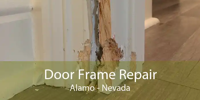 Door Frame Repair Alamo - Nevada