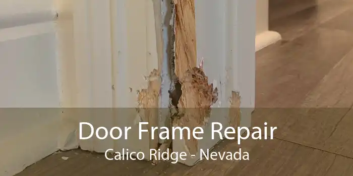 Door Frame Repair Calico Ridge - Nevada