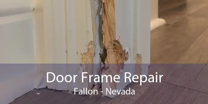 Door Frame Repair Fallon - Nevada