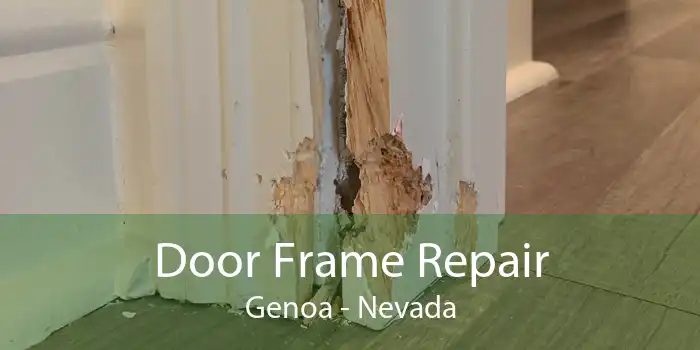 Door Frame Repair Genoa - Nevada