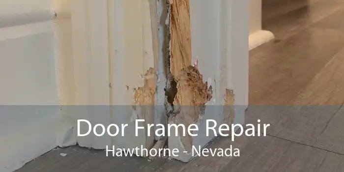 Door Frame Repair Hawthorne - Nevada