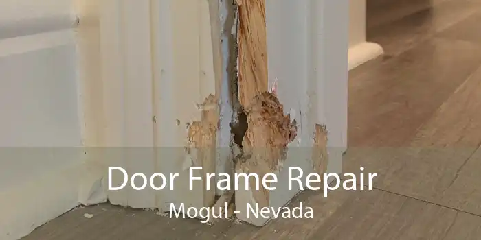 Door Frame Repair Mogul - Nevada