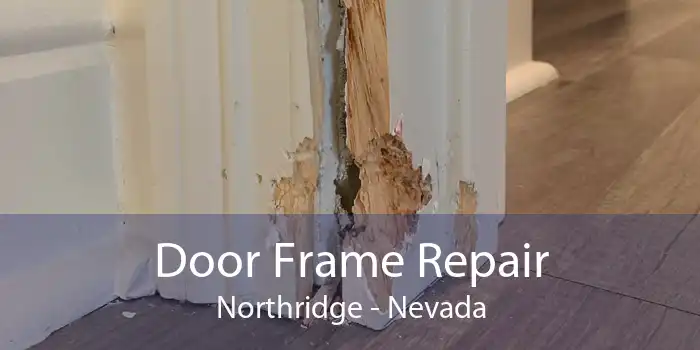 Door Frame Repair Northridge - Nevada