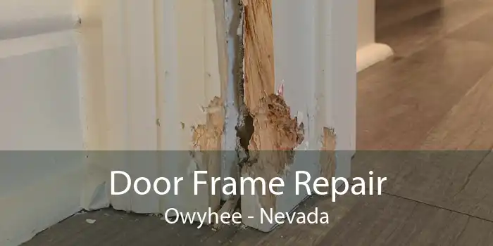 Door Frame Repair Owyhee - Nevada