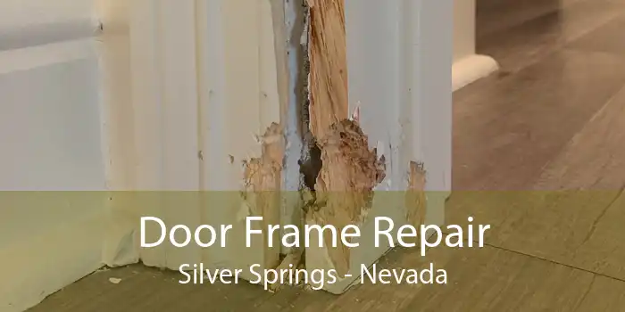 Door Frame Repair Silver Springs - Nevada