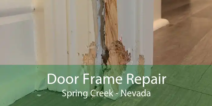 Door Frame Repair Spring Creek - Nevada