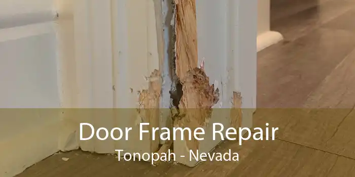 Door Frame Repair Tonopah - Nevada