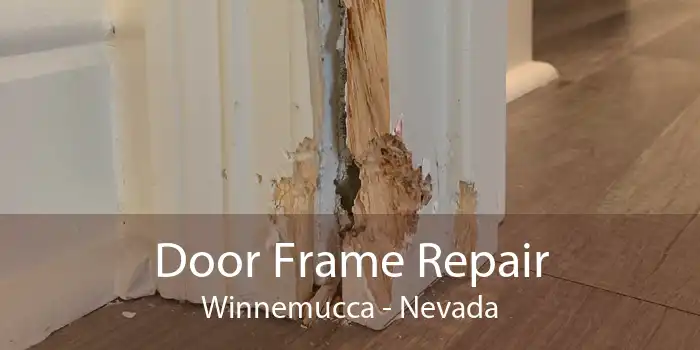 Door Frame Repair Winnemucca - Nevada