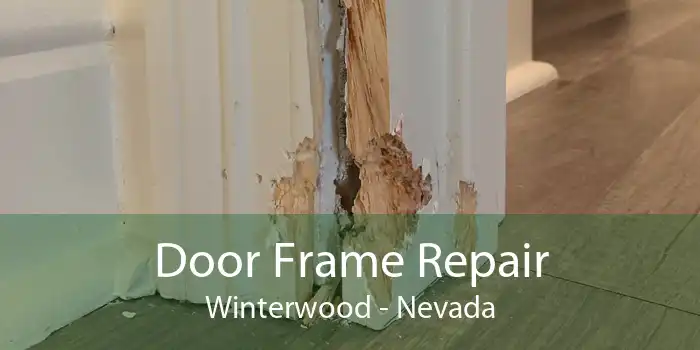 Door Frame Repair Winterwood - Nevada