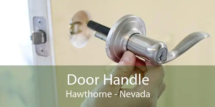 Door Handle Hawthorne - Nevada