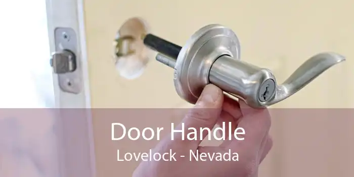 Door Handle Lovelock - Nevada