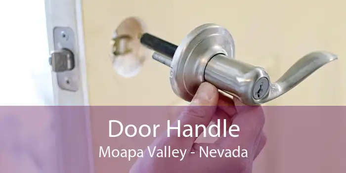 Door Handle Moapa Valley - Nevada