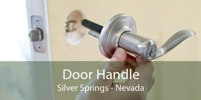Door Handle Silver Springs - Nevada