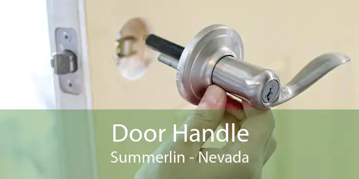 Door Handle Summerlin - Nevada