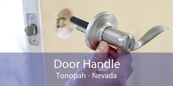 Door Handle Tonopah - Nevada