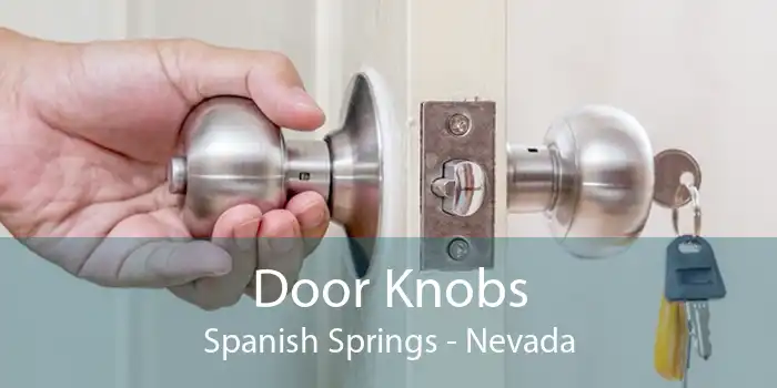 Door Knobs Spanish Springs - Nevada