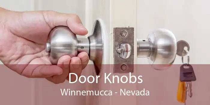 Door Knobs Winnemucca - Nevada