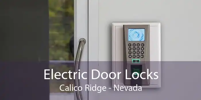 Electric Door Locks Calico Ridge - Nevada