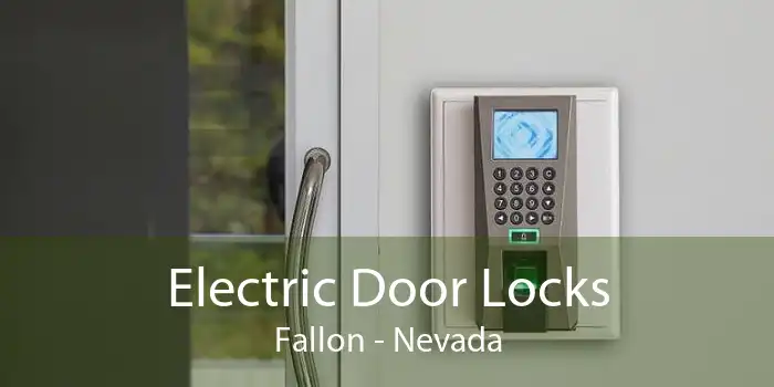Electric Door Locks Fallon - Nevada