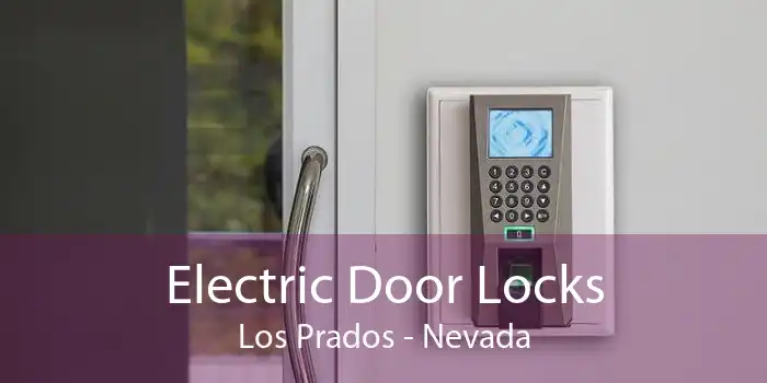 Electric Door Locks Los Prados - Nevada