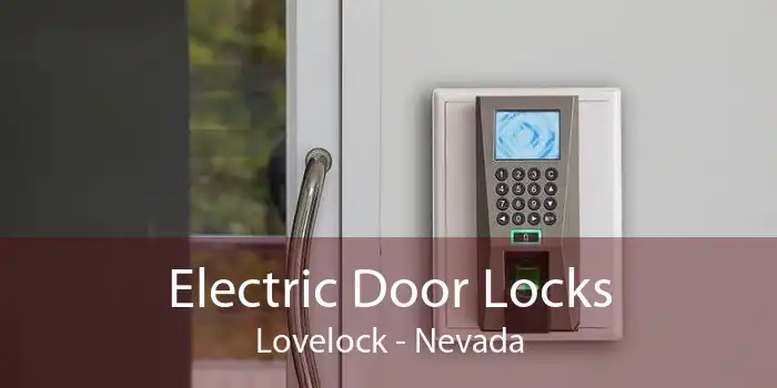 Electric Door Locks Lovelock - Nevada